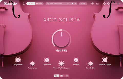 Capsule Arco Solista