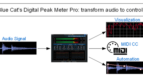 Blue Cat DP Meter Pro