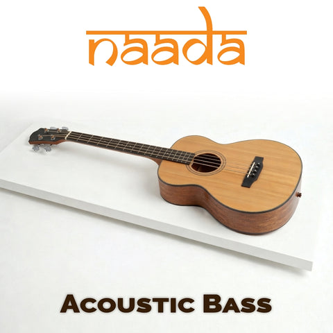 Naada Acoustic Bass for GeoShred Studio