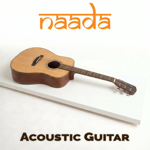 Naada Acoustic Guitar for GeoShred Studio