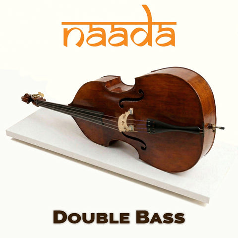 Naada Bass for GeoShred Studio