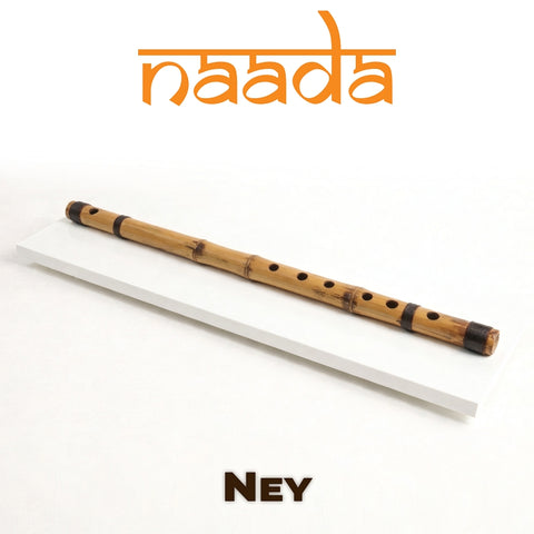 Naada Ney for GeoShred Studio