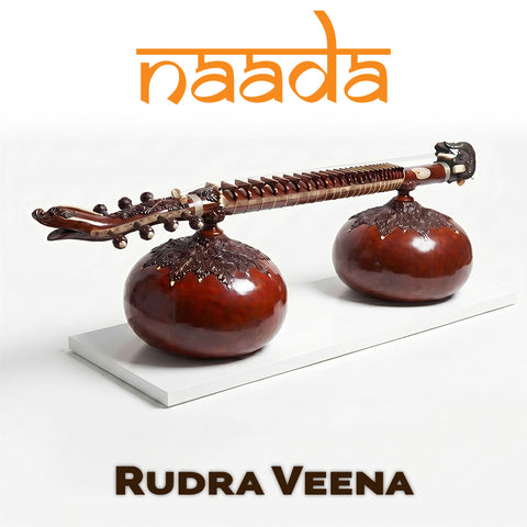 Naada Rudra Veena for GeoShred Studio