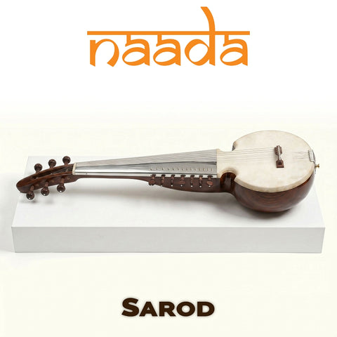 Naada Sarod for GeoShred Studio