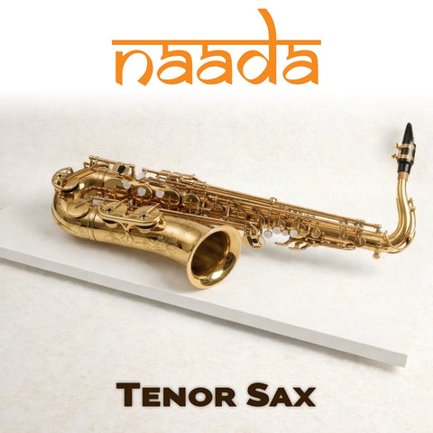 Naada Tenor Sax for GeoShred Studio