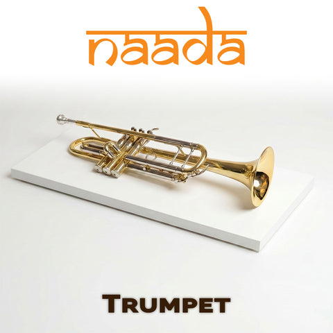 Naada Trumpet for GeoShred Studio