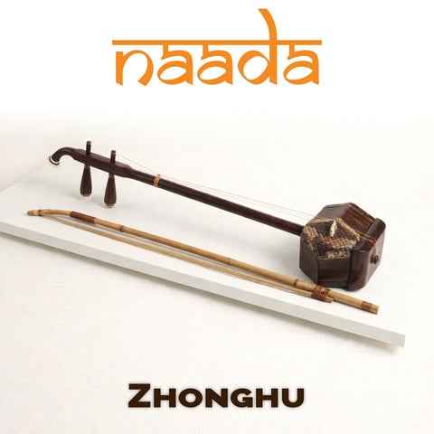 Naada Zhonghu for GeoShred Studio