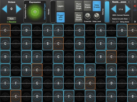 Naada Acoustic Bass for GeoShred Studio