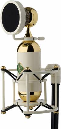 Soyuz 017POP Pop Filter