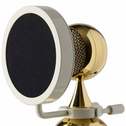Soyuz 017POP Pop Filter